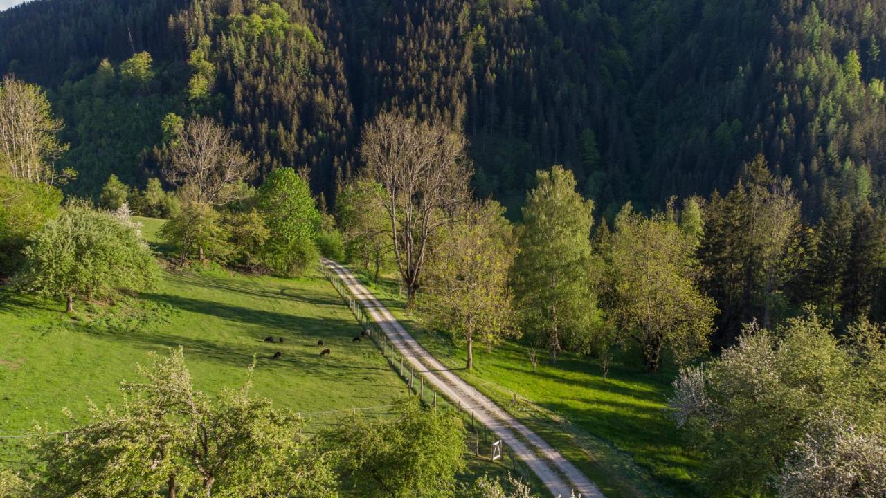 Charmante Gaestewohnung In Altem Bauernhaus In Alpiner Alleinlage Stanz Im Murztal ภายนอก รูปภาพ