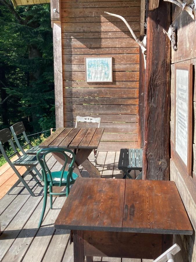 Charmante Gaestewohnung In Altem Bauernhaus In Alpiner Alleinlage Stanz Im Murztal ภายนอก รูปภาพ