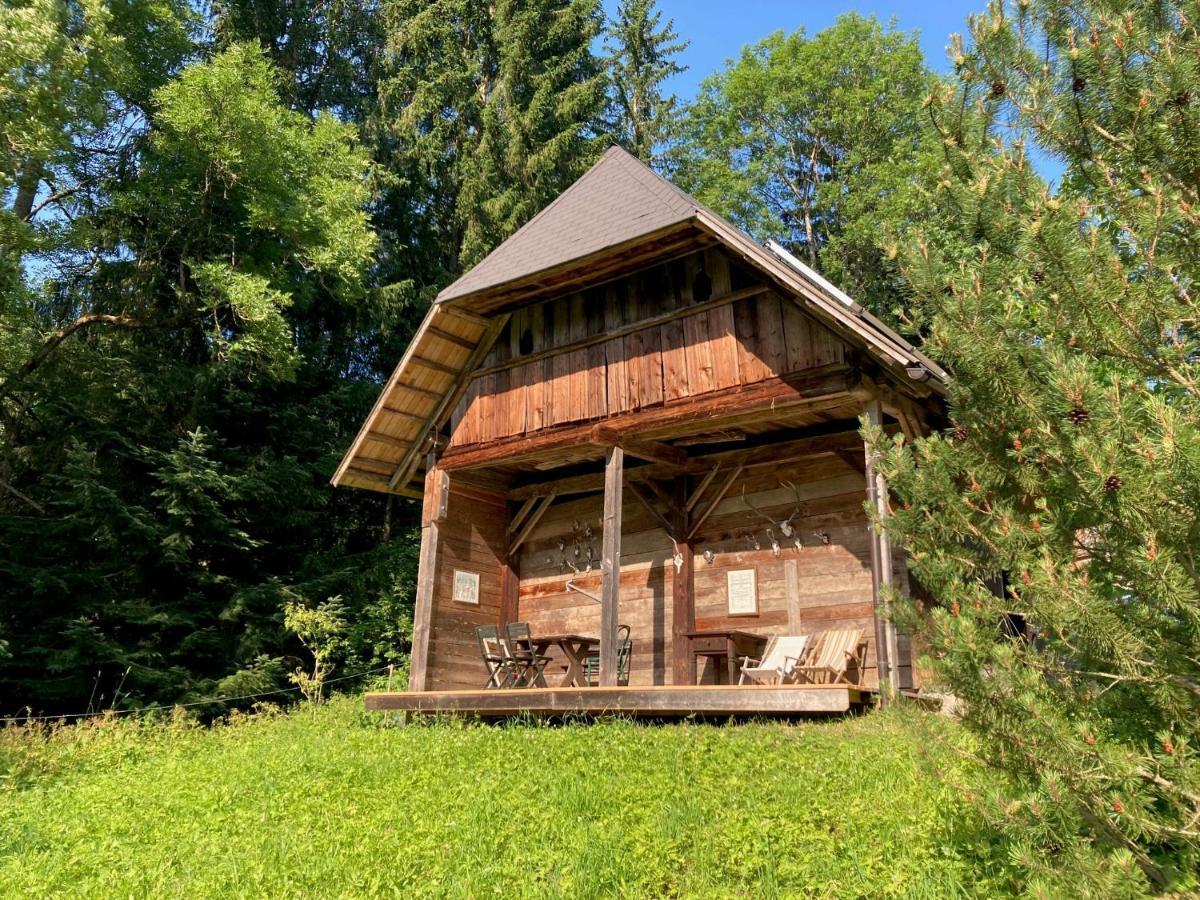 Charmante Gaestewohnung In Altem Bauernhaus In Alpiner Alleinlage Stanz Im Murztal ภายนอก รูปภาพ