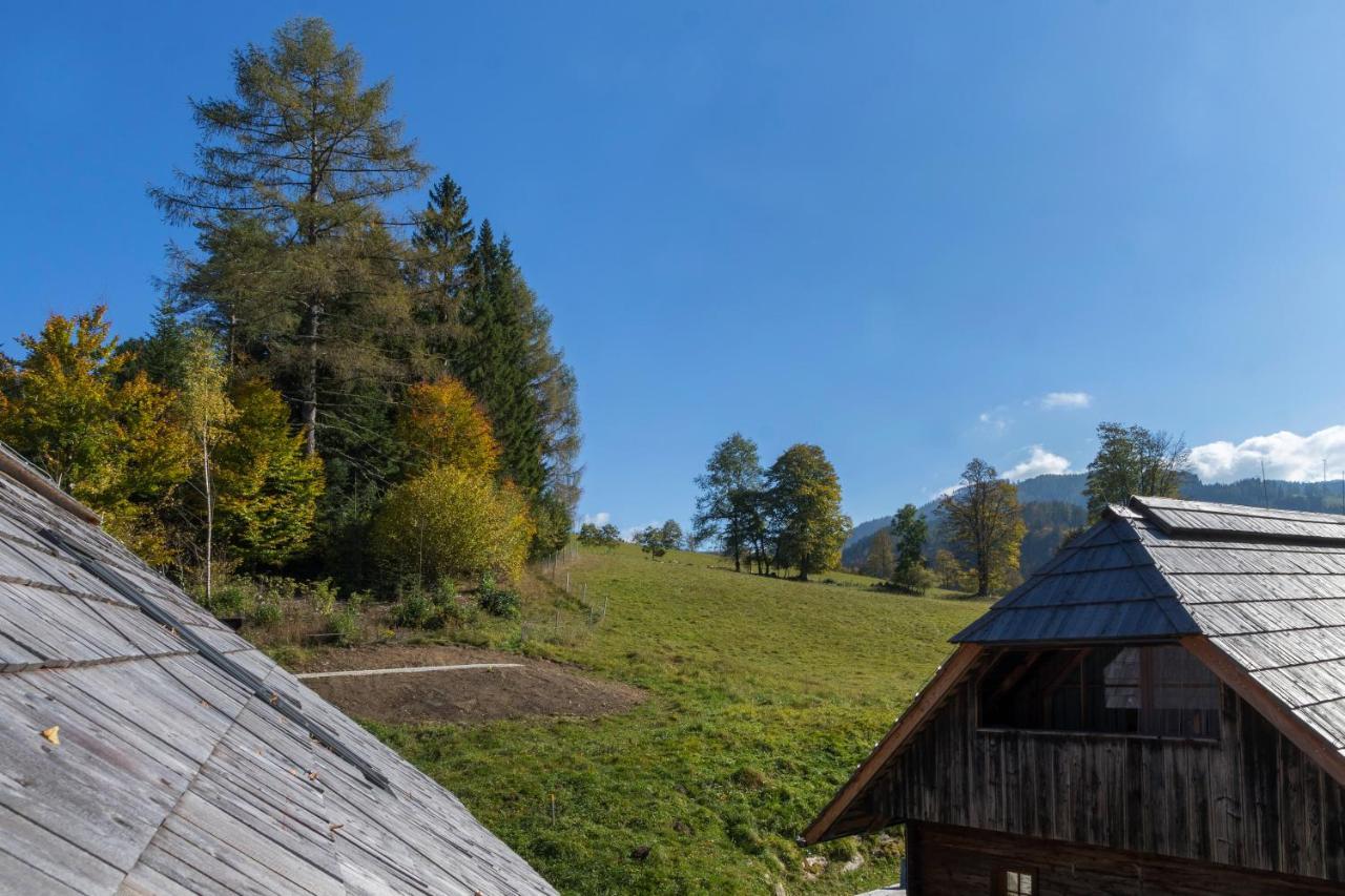 Charmante Gaestewohnung In Altem Bauernhaus In Alpiner Alleinlage Stanz Im Murztal ภายนอก รูปภาพ